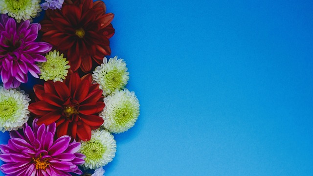 德转统计萨拉赫首发与否利物浦战绩对比